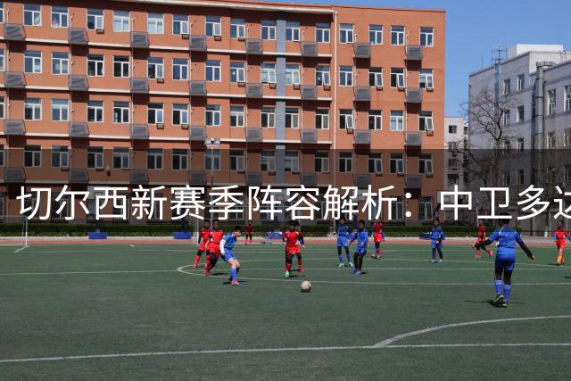 切尔西新赛季阵容解析：中卫多达7人 仅帕尔默缺替补